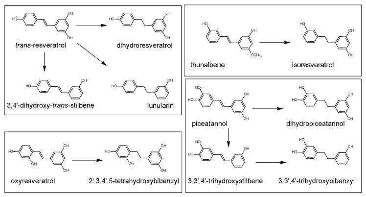 Figure 19