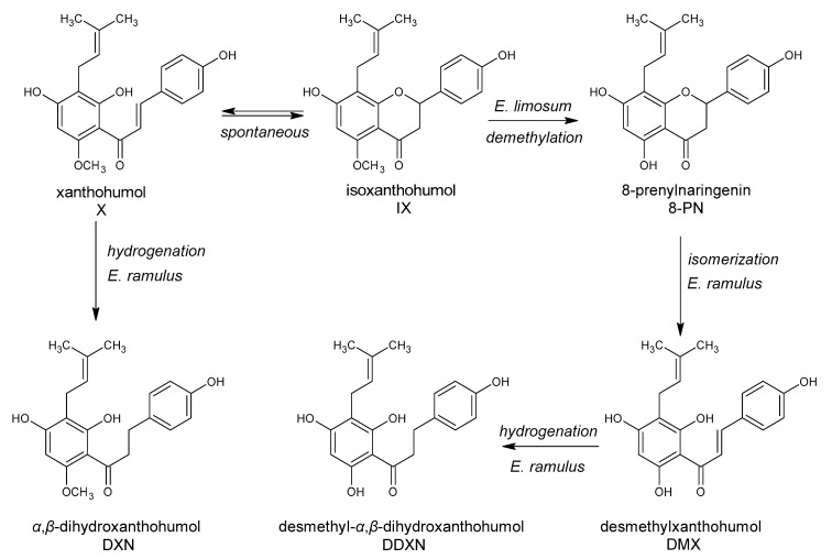 Figure 11