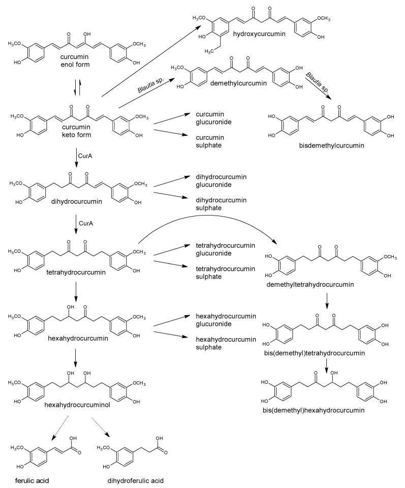 Figure 20