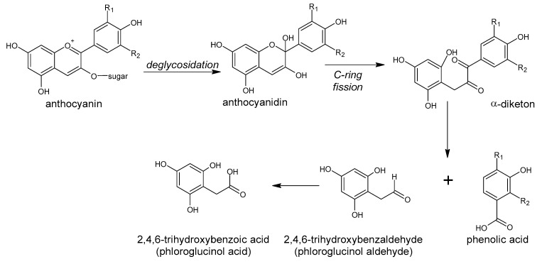 Figure 13