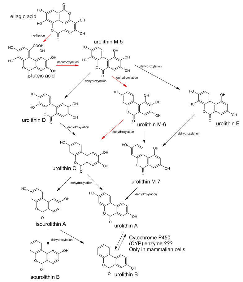 Figure 10