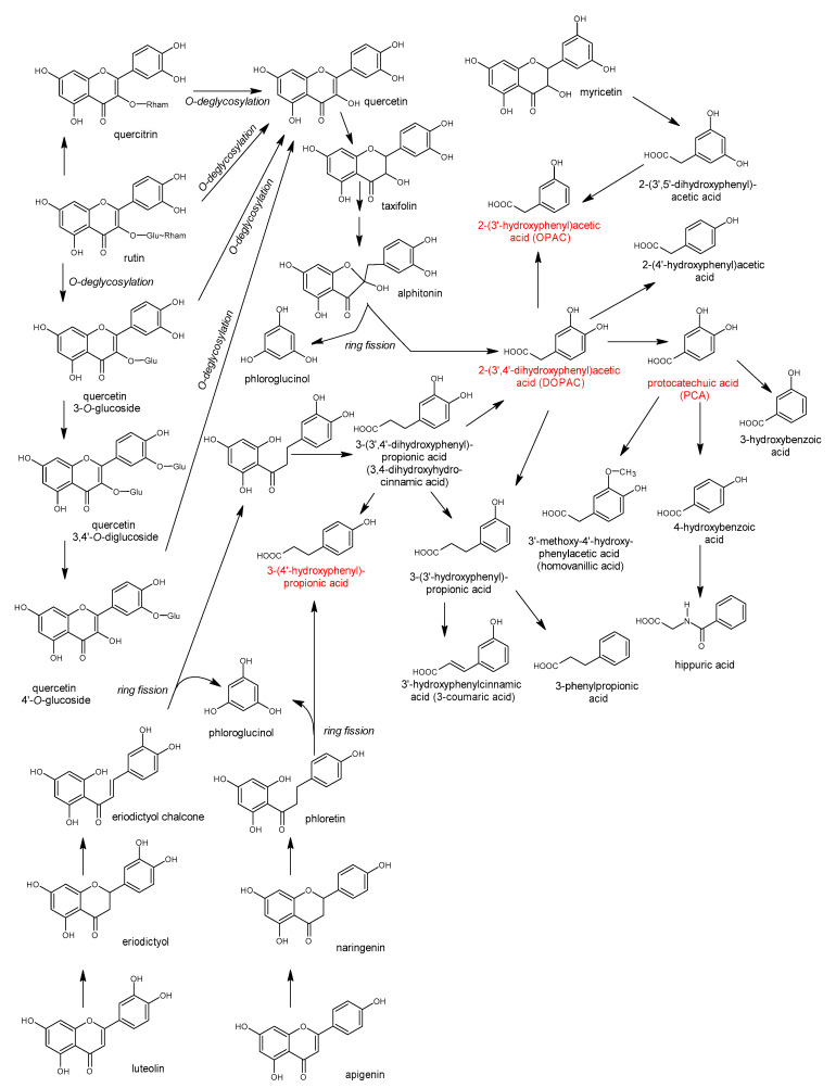 Figure 17