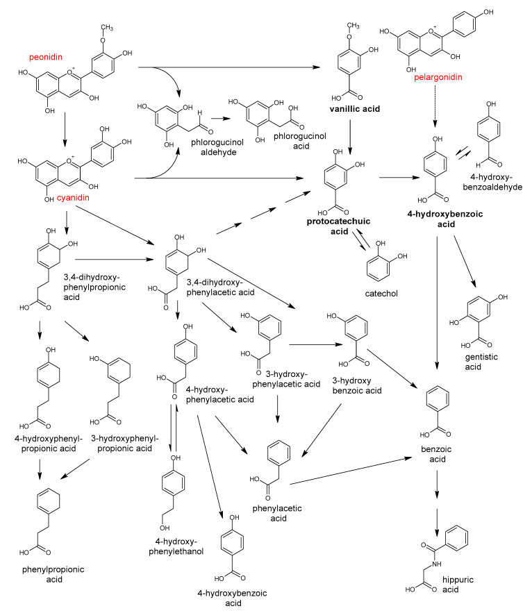 Figure 14