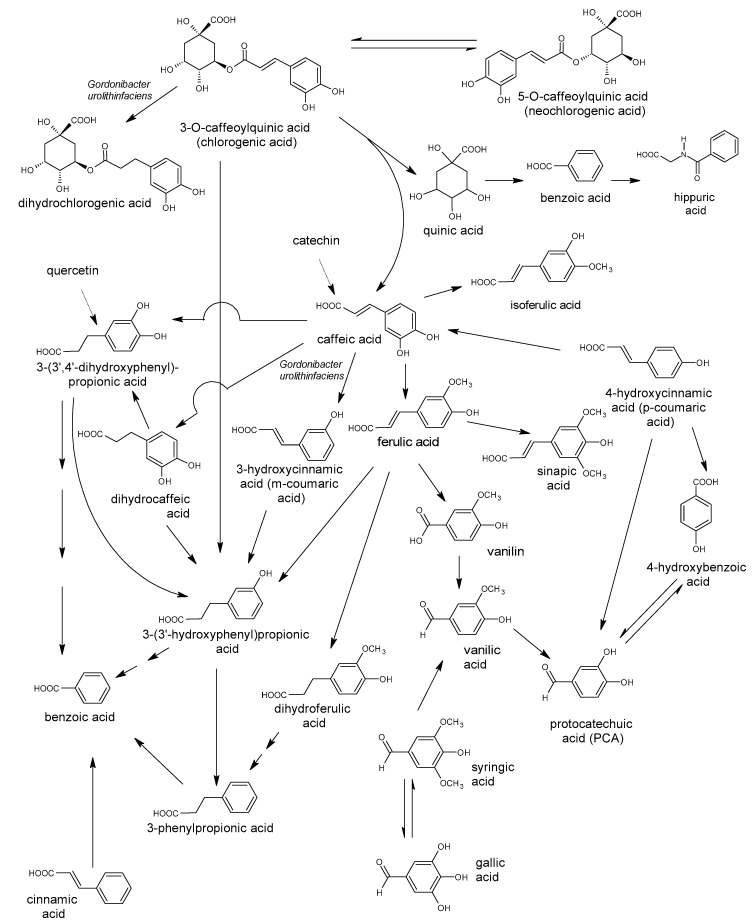 Figure 18