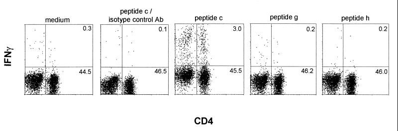 FIG. 4