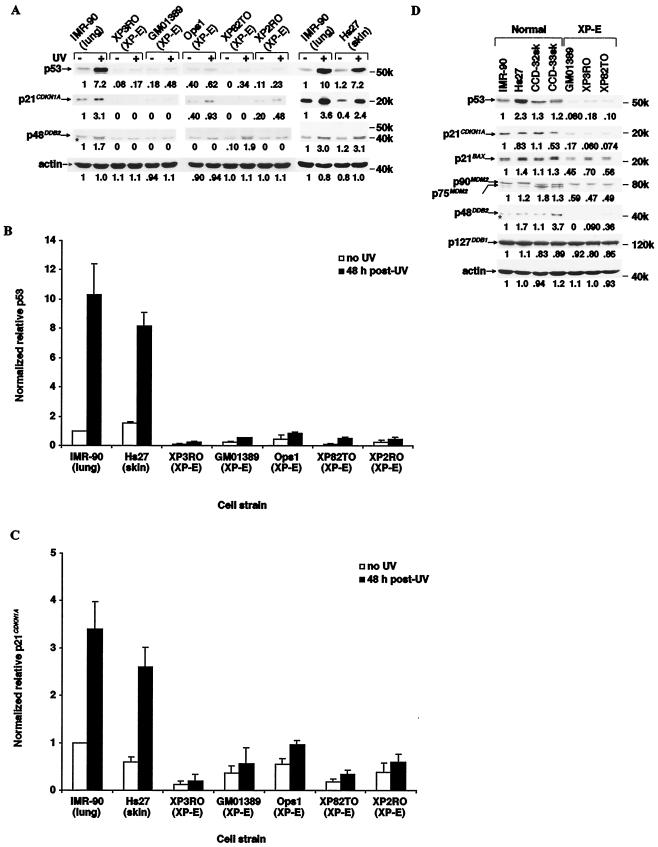 FIG. 2.