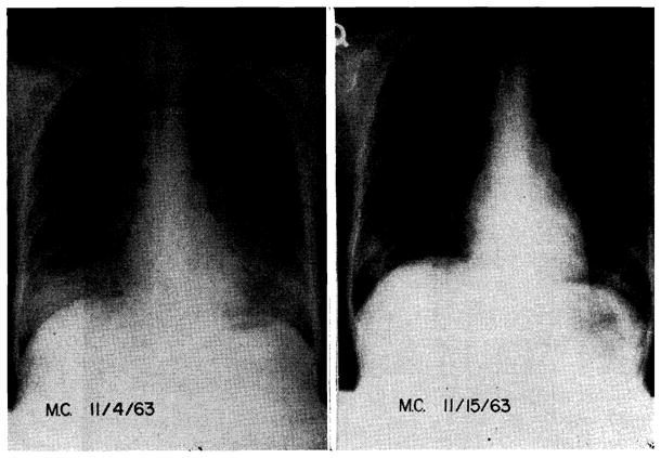 Fig. 11