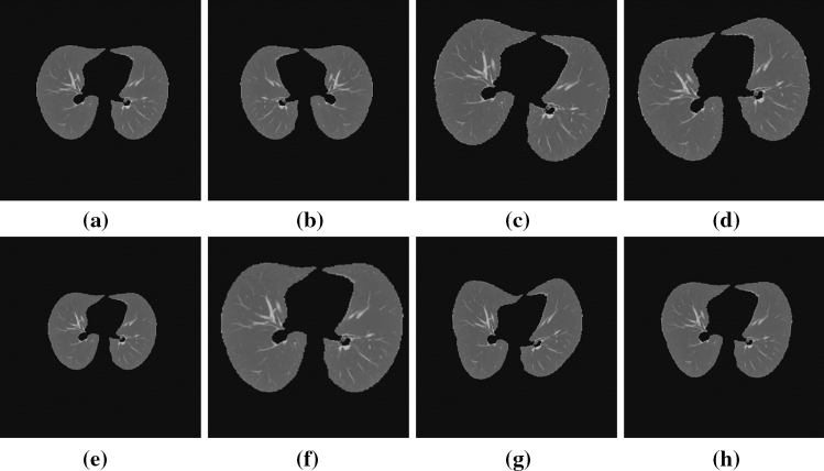 Fig. 8