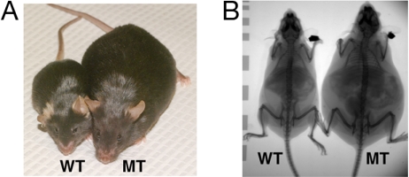 Fig. 2.