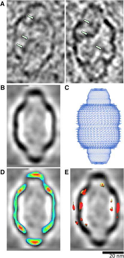 Fig. 3