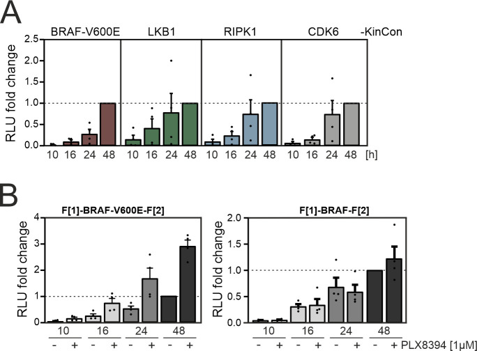 Figure 1—figure supplement 1.