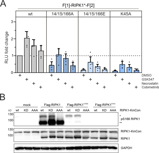 Figure 3—figure supplement 2.