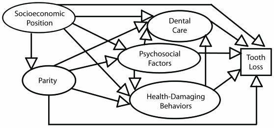 FIGURE 1—