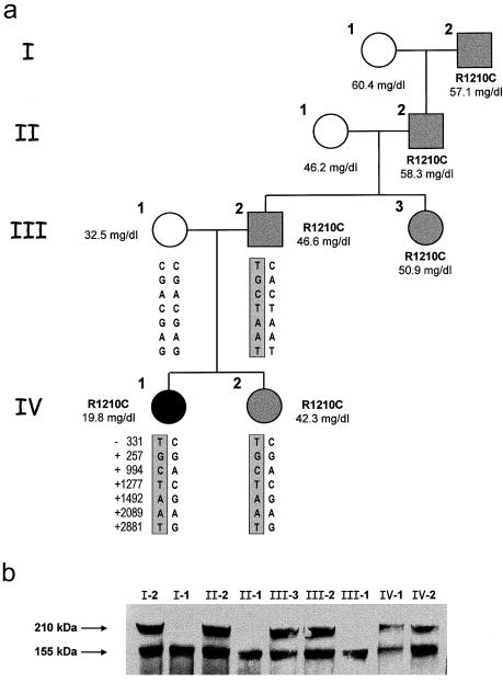 Figure  3