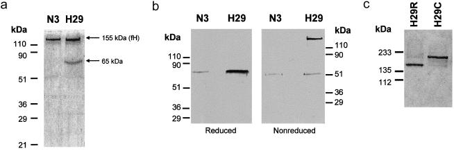 Figure  4