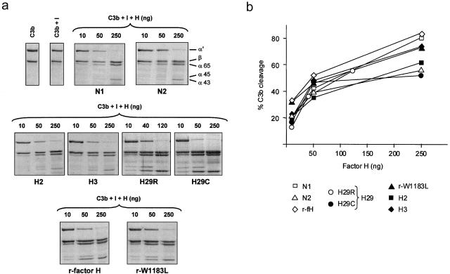 Figure  5