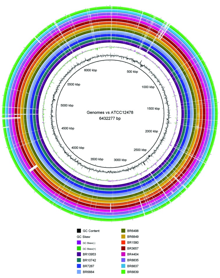 Fig. 1: 