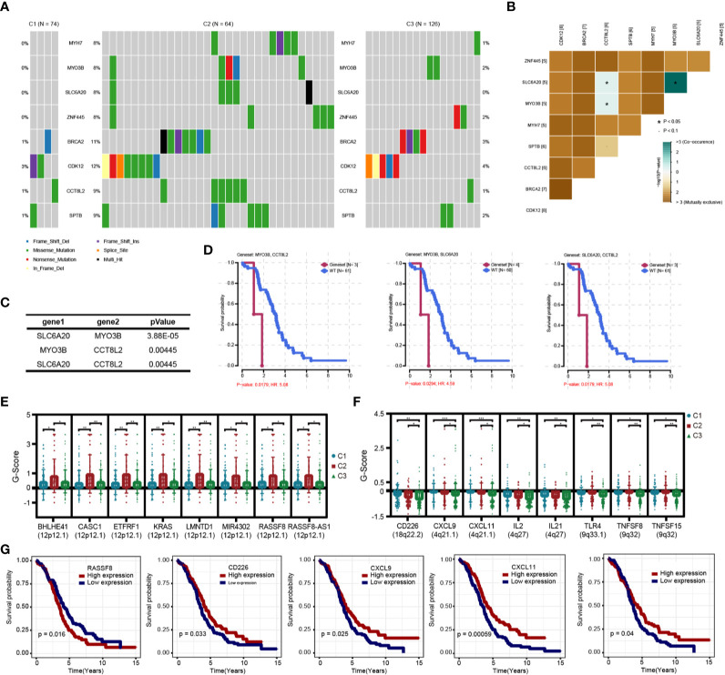 Figure 10