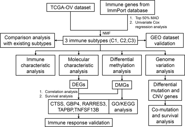 Figure 1