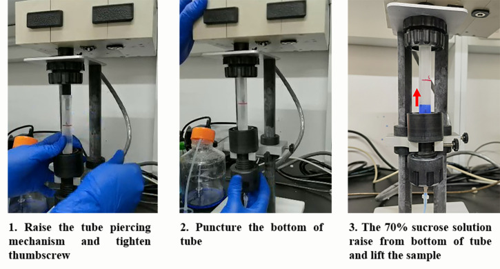 Figure 2.