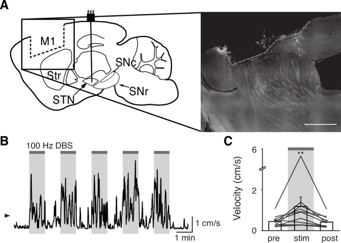 Figure 5.