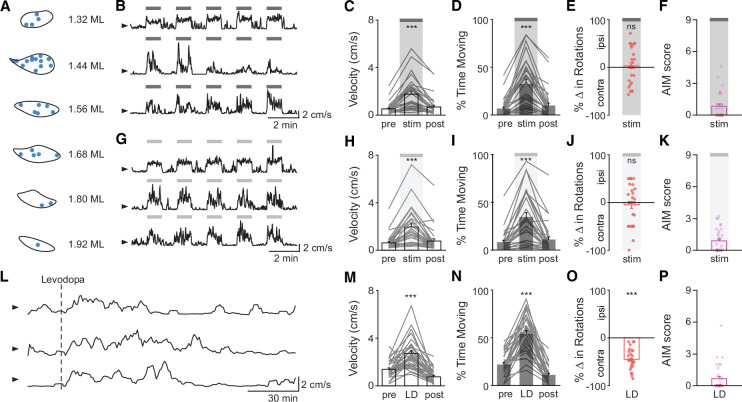 Figure 2—figure supplement 1.