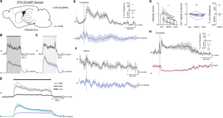 Figure 2—figure supplement 2.