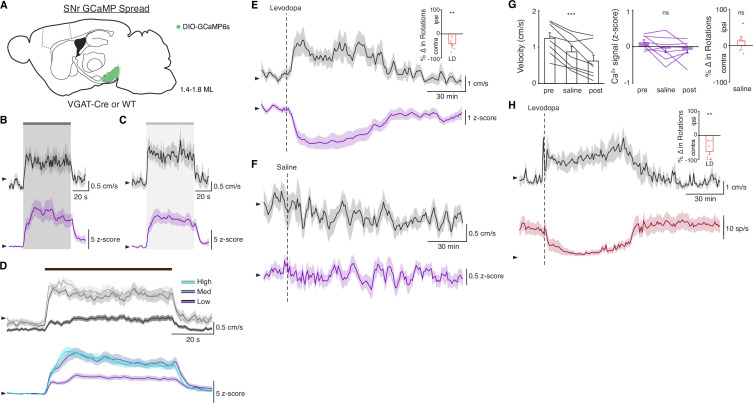 Figure 3—figure supplement 1.