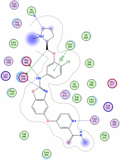 graphic file with name 13065_2024_1130_Figf_HTML.gif