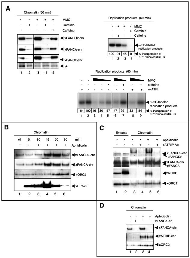 FIG.3.