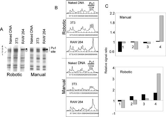 Figure 4