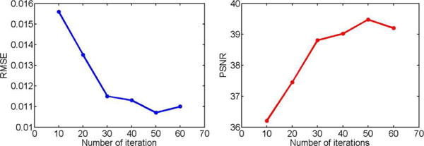 Fig. 10