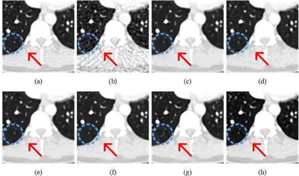 Fig. 8