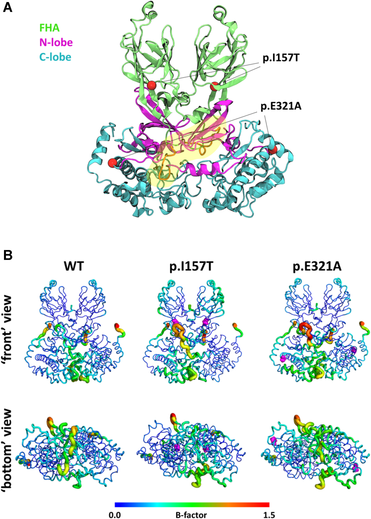 Figure 6