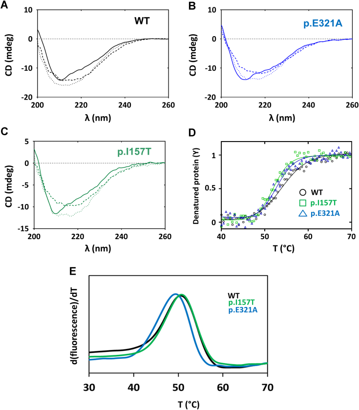 Figure 3