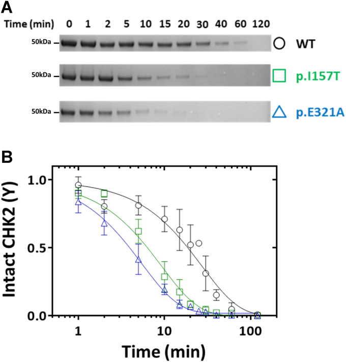 Figure 4