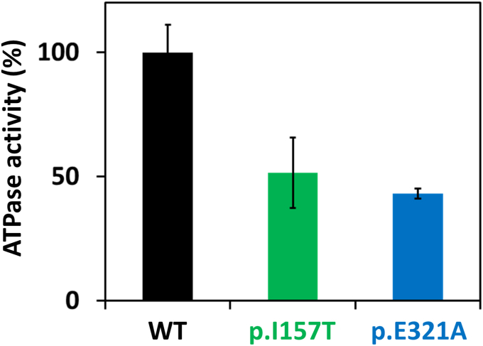 Figure 2