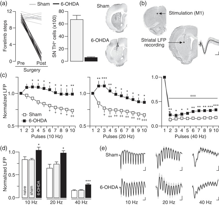 Figure 1.