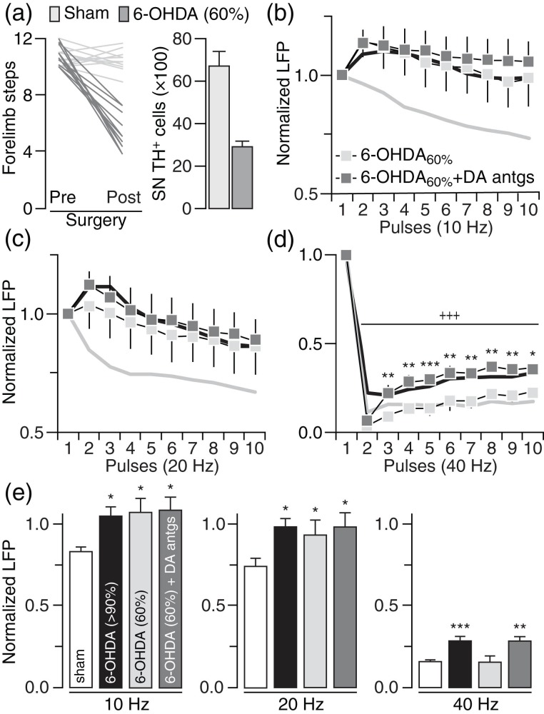 Figure 2.