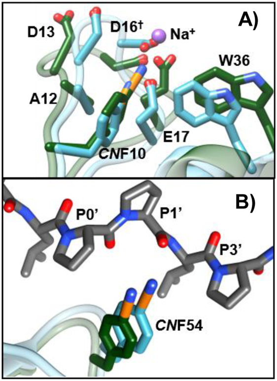 Fig. 6