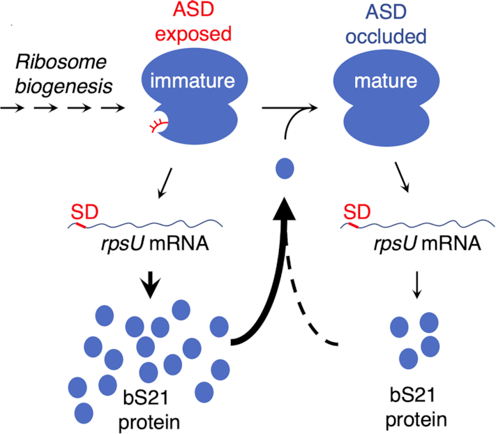 Figure 10.