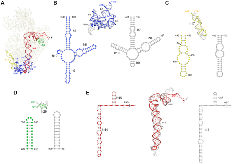 Figure 3.