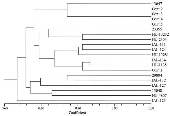 FIG. 3