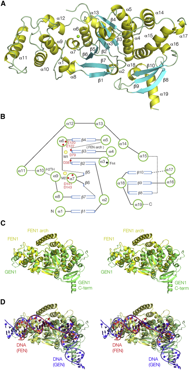 Figure 2