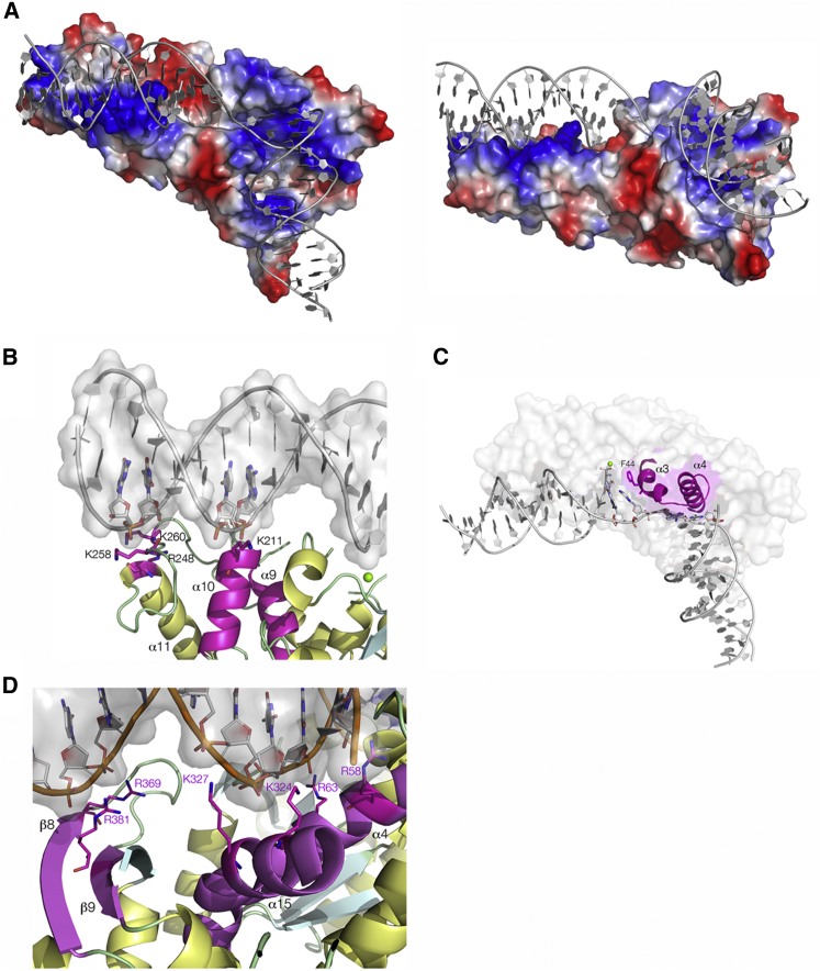 Figure 3