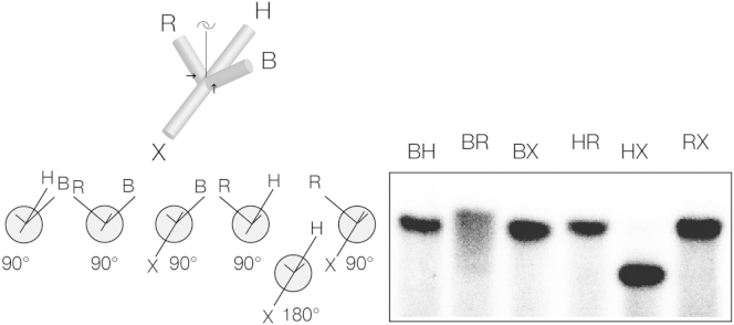 Figure 6