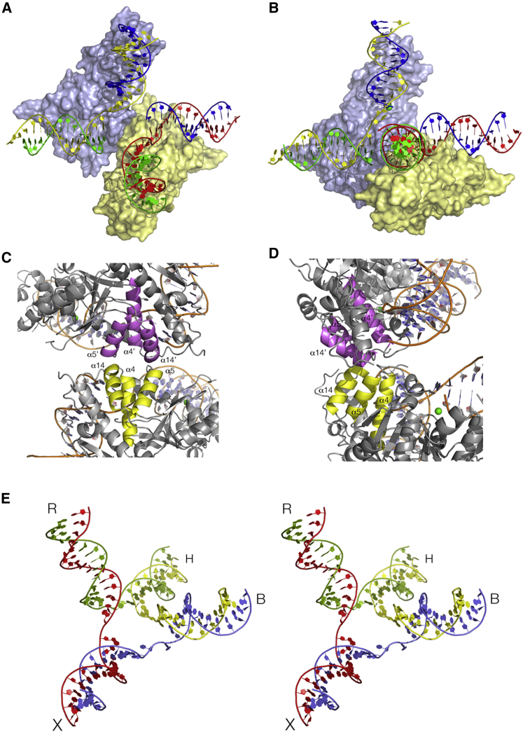 Figure 5