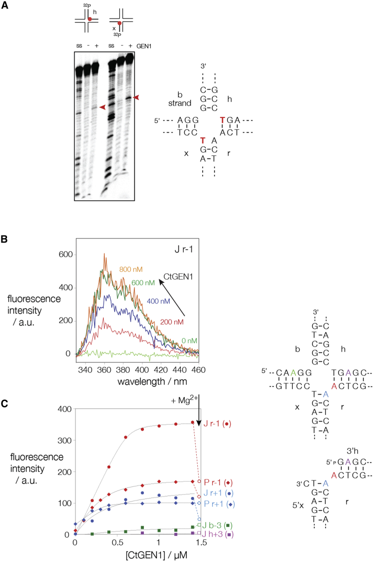 Figure 7