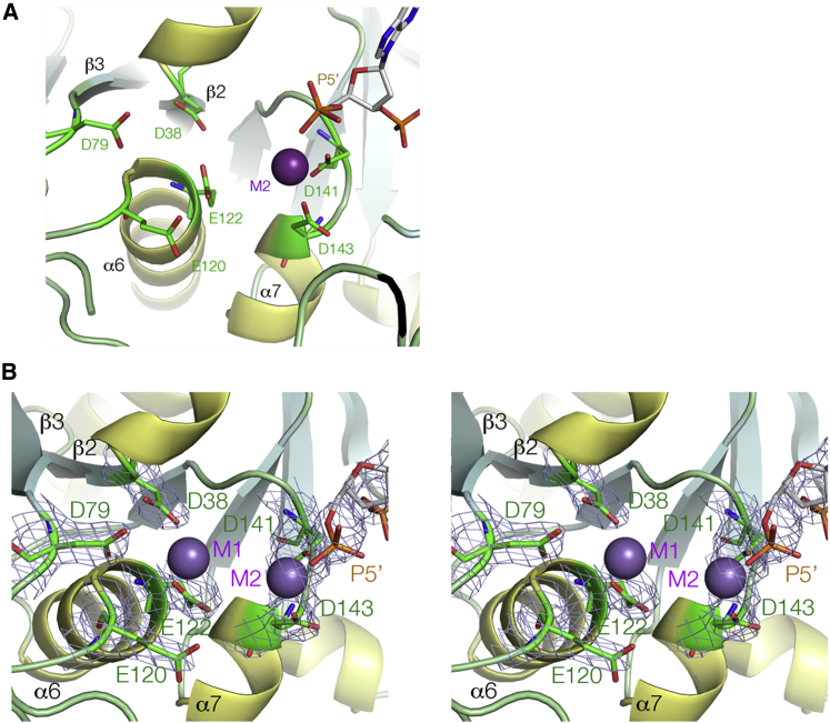 Figure 4