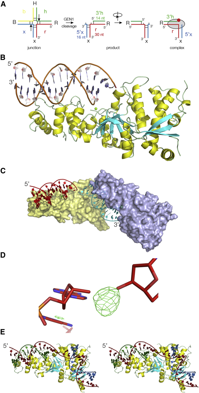 Figure 1